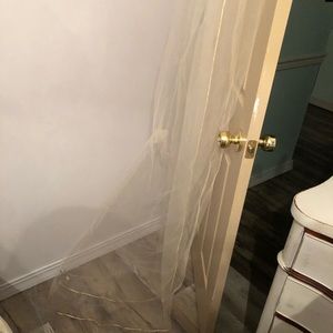 Champagne cathedral length wedding veil